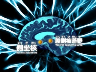 ノナプルナイン　被験体：999999999のゲーム画面「脳科学、フラクタル、人工生命。科学の深淵へ！」
