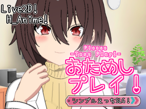 おためしプレイ!!のイメージ