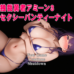独裁勇者アミーン３　セクシーパンティナイトのイメージ