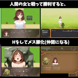 戦闘に勝利して女を奴隷にしろ！