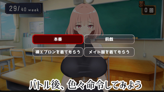 最強の女戦士を寝取る計画（体験版）のゲーム画面「選択後、エロエロな選択肢で、命令しよう」